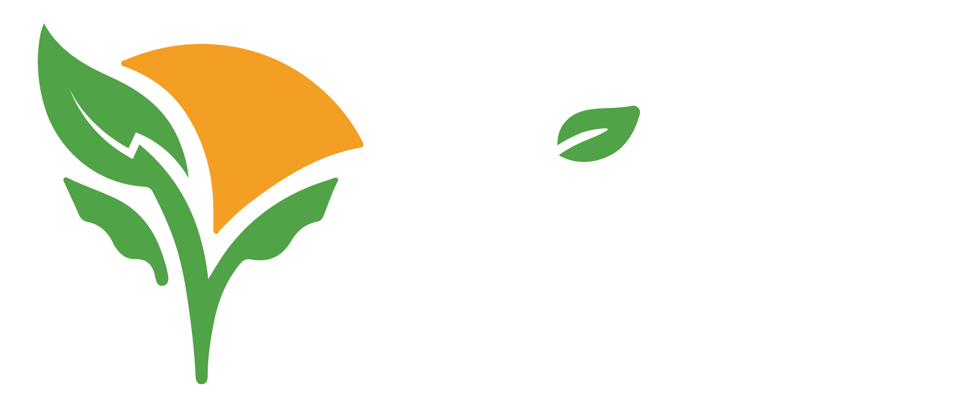 eloheminingenergies.com